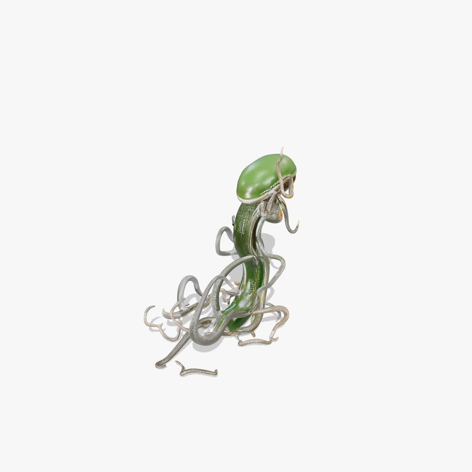 Venus Flytrap Monster model pack